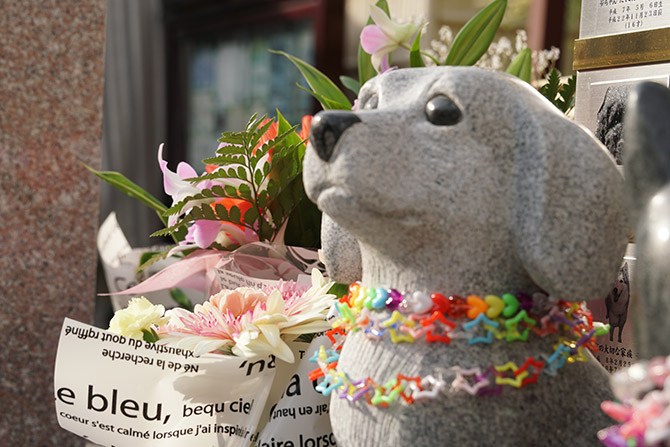 ペット供養 動物供養大祭写真19