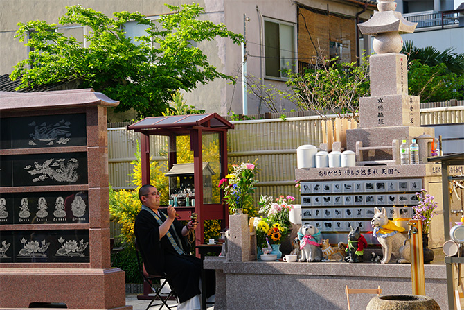 ペット供養 - 6月