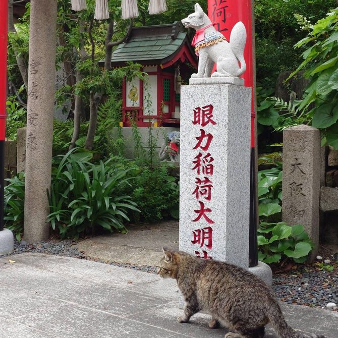 皆様のペットを供養する月例法要を令和7年6月21日午後3時半よりおこないます。