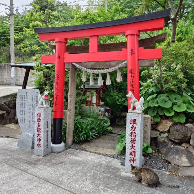 皆様のペットを供養する月例法要を令和7年8月21日午後3時半よりおこないます。