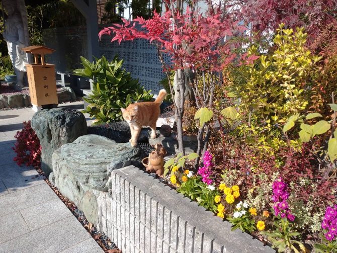 皆様のペットを供養する月例法要を令和7年12月21日午後3時半よりおこないます。