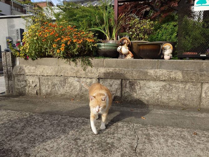 令和8年2月 ペット供養月例法要のお知らせ